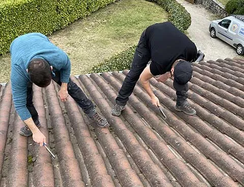 Nettoyage et démoussage de toiture autour de Grenoble